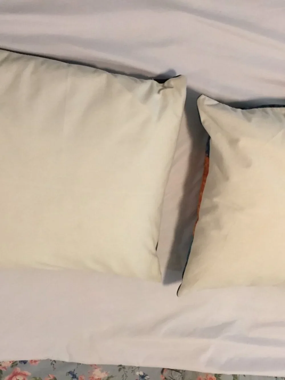 2 Cat Pillows 17